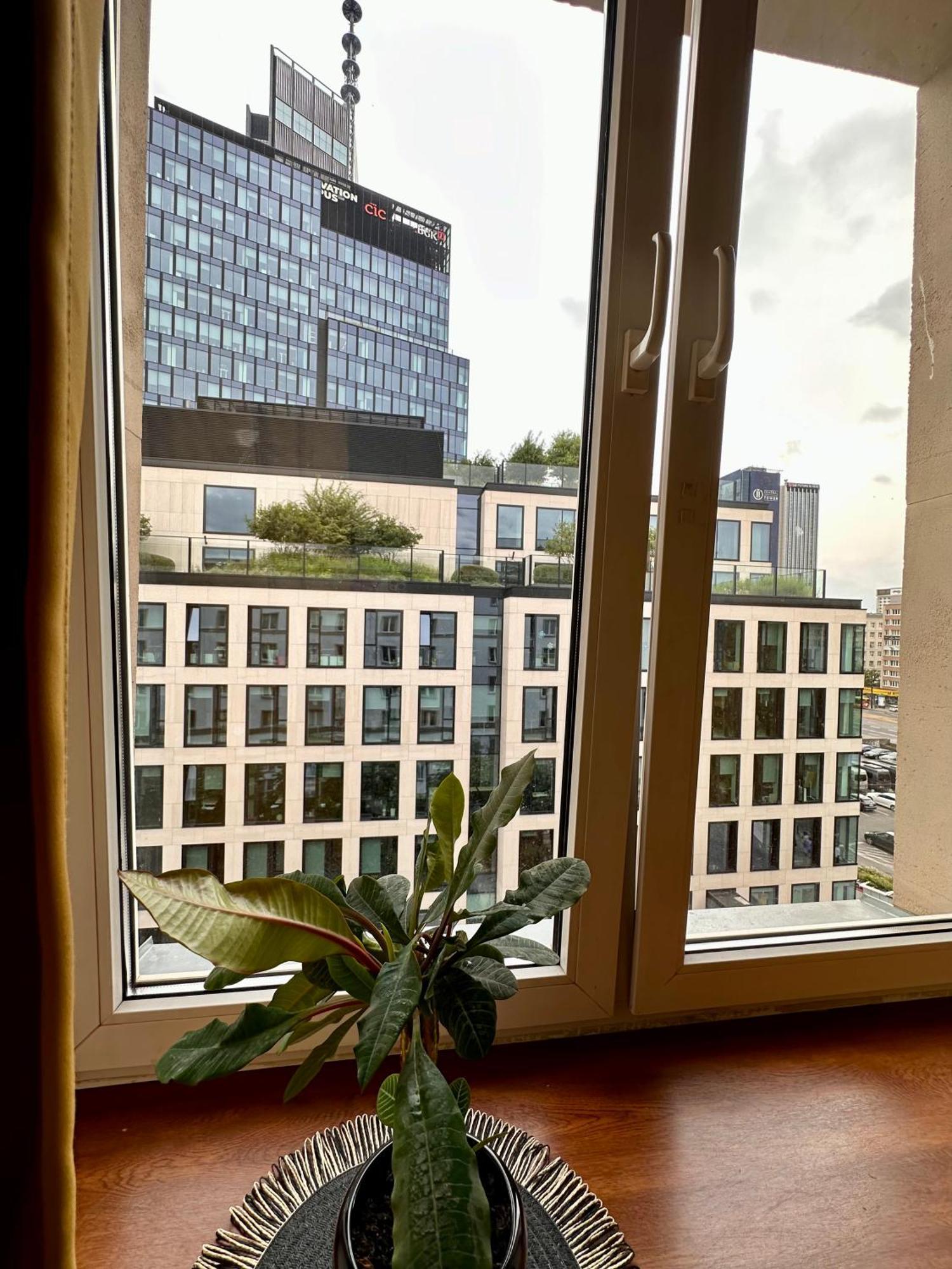 Africa Apartment وارسو المظهر الخارجي الصورة